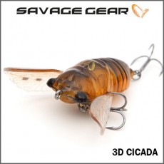3D CICADA / 시카다